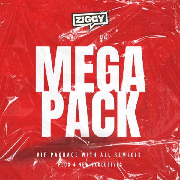 Turn Me On (ZIGGY & Mr Bermuda Remix)